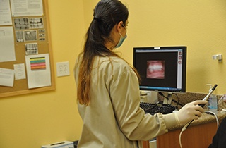 team member using camera and computer