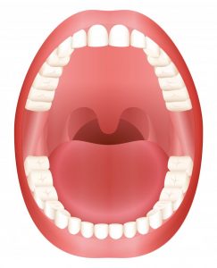 illustration of open mouth