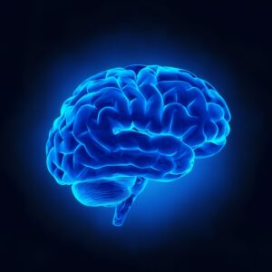 An X-ray view of a human brain